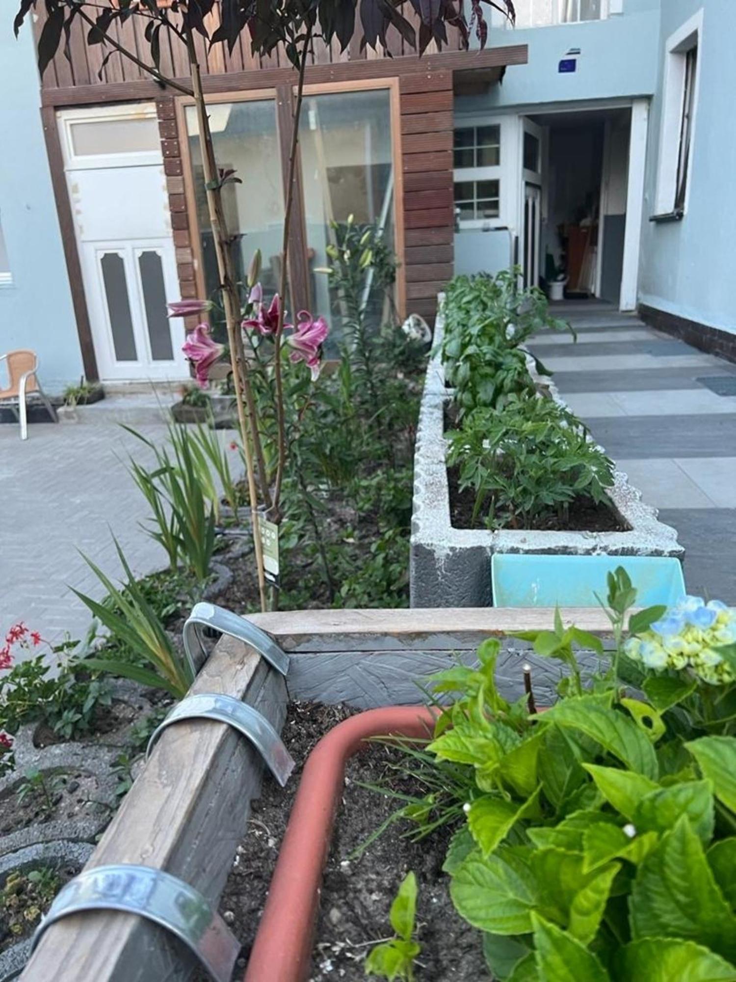 Antike Wohnmoeglichkeit Kurz Und Langfristig 100Qm Erdgeschoss Apartment Lauchhammer Ngoại thất bức ảnh