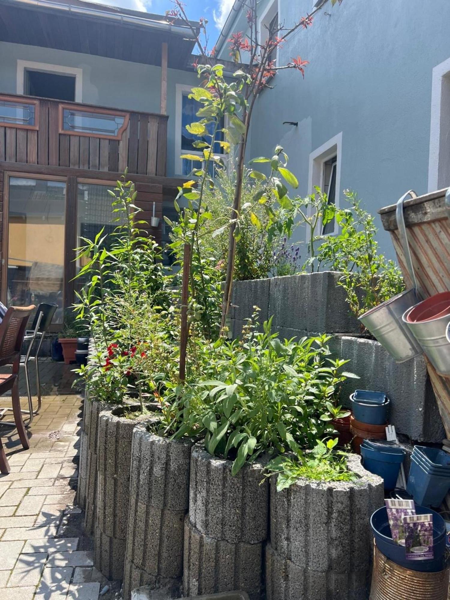 Antike Wohnmoeglichkeit Kurz Und Langfristig 100Qm Erdgeschoss Apartment Lauchhammer Ngoại thất bức ảnh